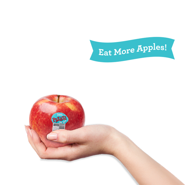 lander_eatmore_lockup-final lander_eatmore_lockup-final